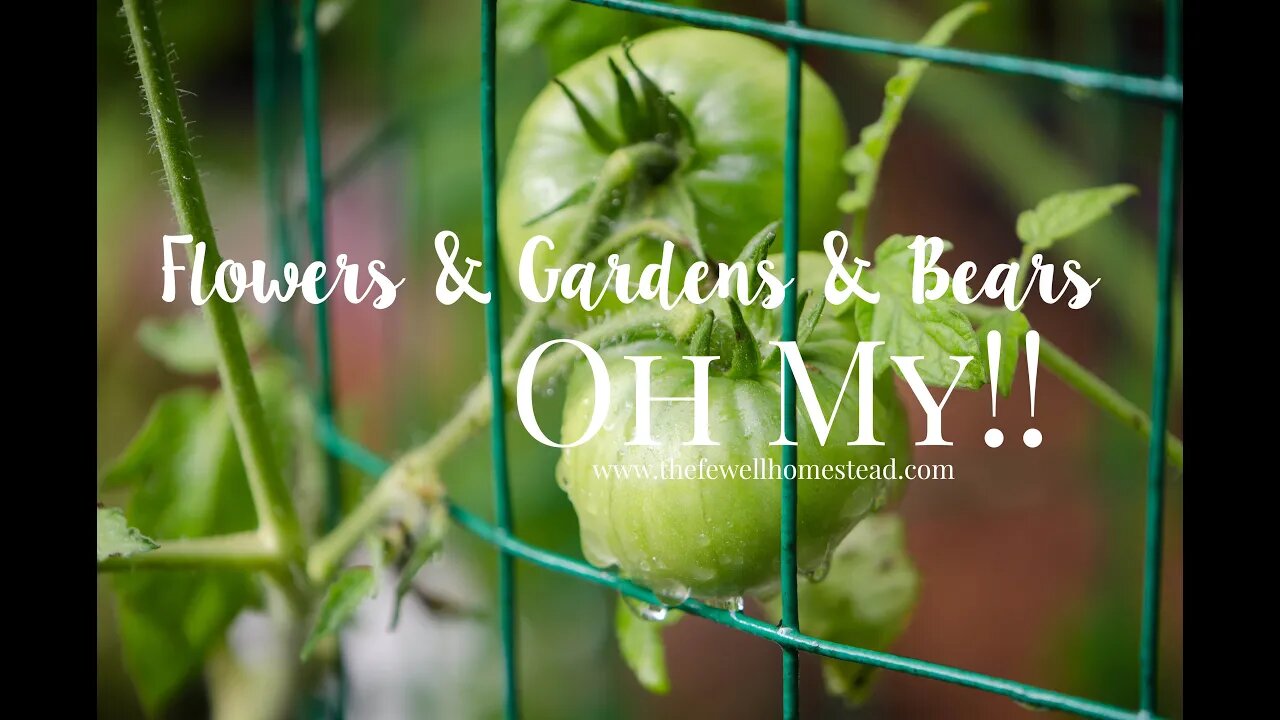 Flowers and Gardens and Bears...oh my!