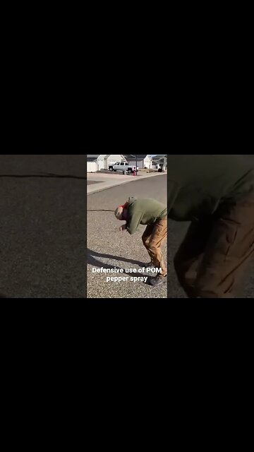 POM pepper spray demo #shorts #peppersprays #selfdefense
