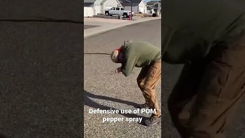 POM pepper spray demo #shorts #peppersprays #selfdefense