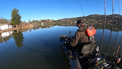 A 9 lb tank smashes the crankbait!