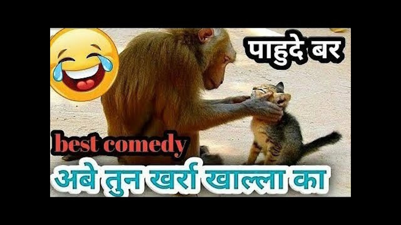 Lakshmi kant bhise comedy video || #funny videos || comedy