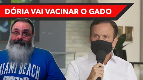 Dória chama seus próprios eleitores de "gado" ao tentar atingir Bolsonaro