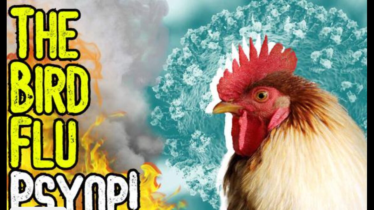 THE BIRD FLU PSYOP! ALT MEDIAS & MSM PROMOTE LATEST SCAMDEMIC! - HAVE PEOPLE LEARNED ANYTHING?