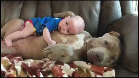 Dog save baby😚😉