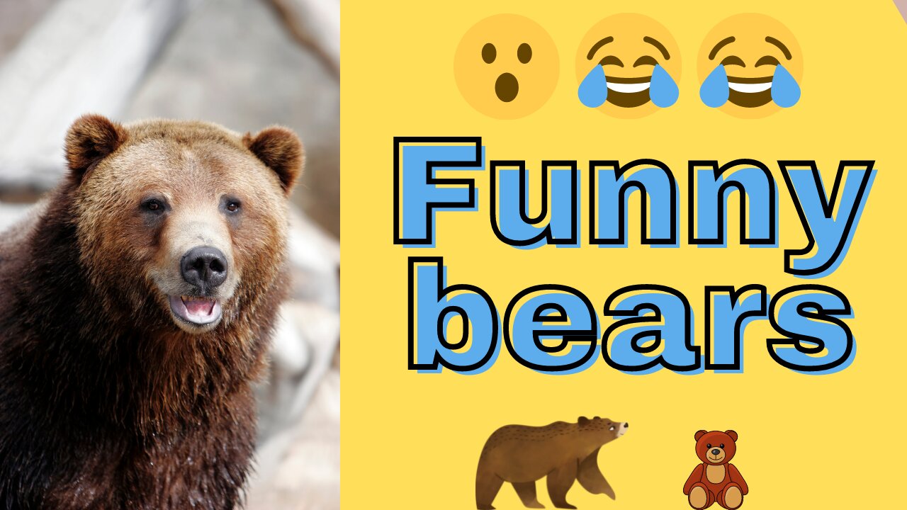 Funny Bears acting SILLY Compilation