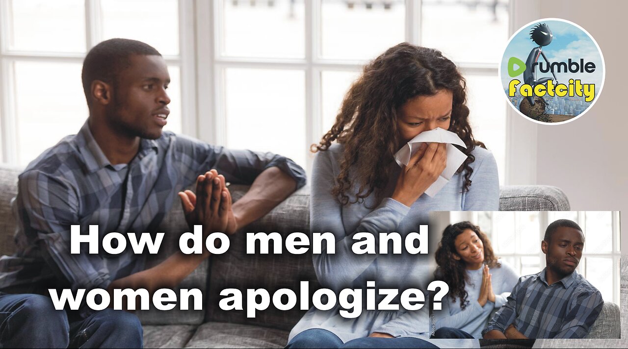 Funny explanation: What is the difference? How do men and women apologize?