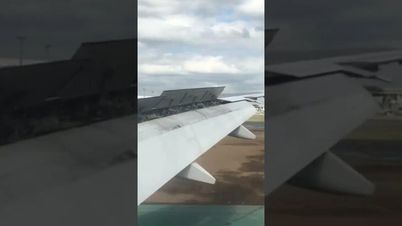 Tokyo Plane Landing