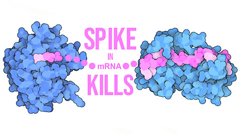 mRNA “Spike” Kills Says Salk Institute