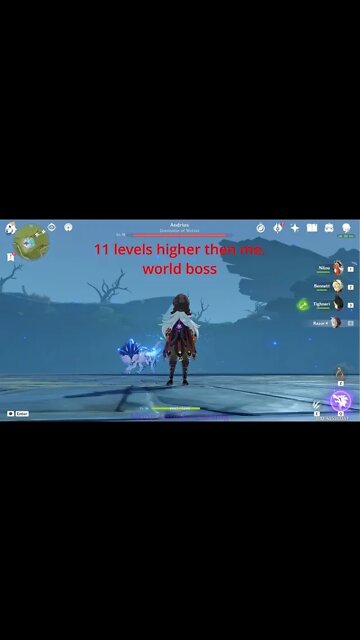 11 levels higher then me, world boss battle to the end.