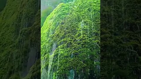 scenery