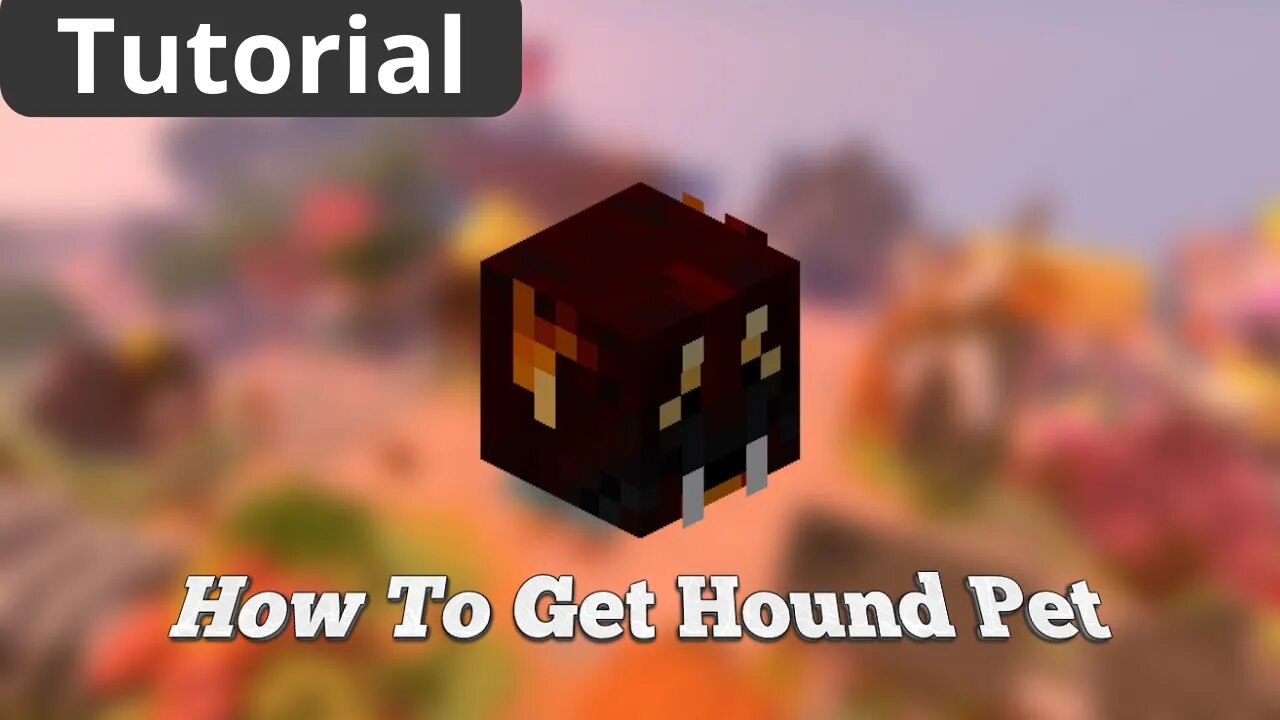 How To Get HOUND PET in Hypixel Skyblock