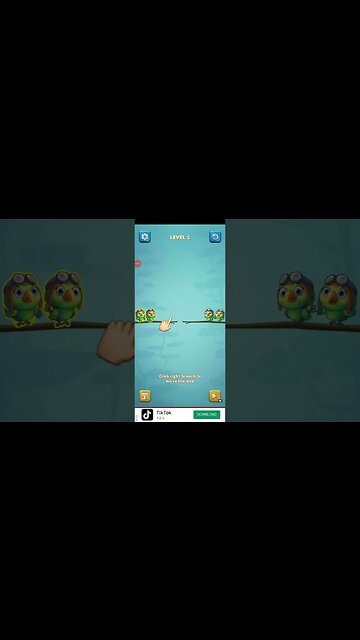 Bird Sort Puzzle - Level 1