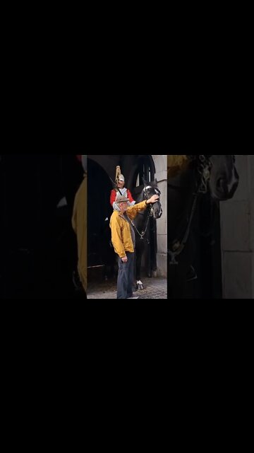 Old chap kisses the Horse #horseguardsparade