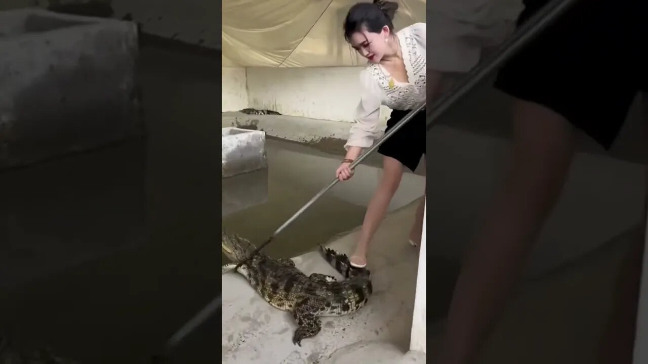 Chinese Girl Battles Alligator