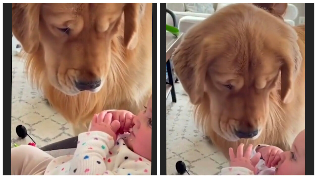 He is so gentle
