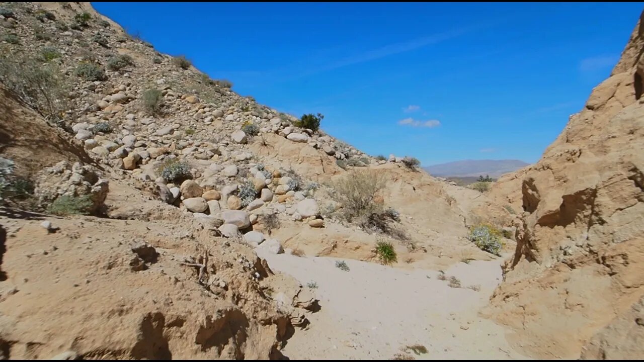 First Desert Hike Of the season, and it sucks!