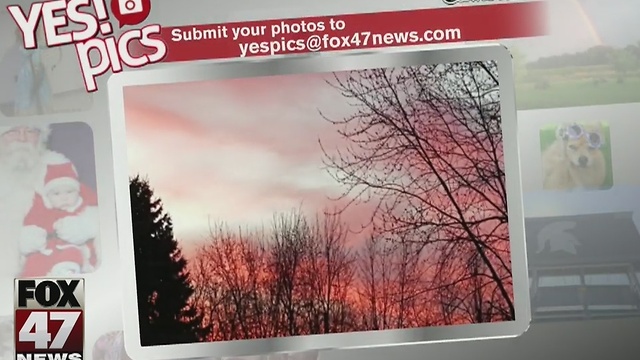 Yes! Pics: 11/22/16