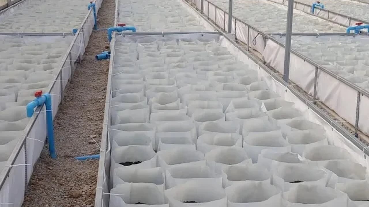 Time To Fire Up The New Greenhouses