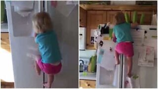 Dans l'Utah, cette enfant escalade un frigo comme une pro