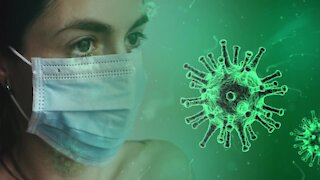 South Africa Cape Town - SA now has 709 confirmed cases of coronavirus (vPD)