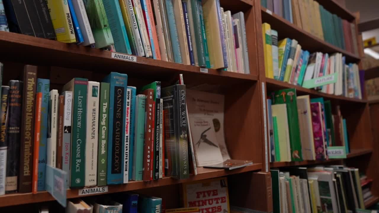 Curious Book Shop surviving quarantine with help of community and GoFundMe