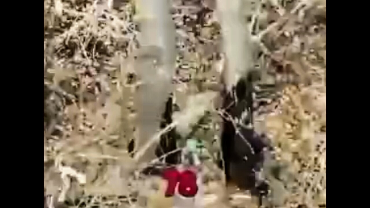 Footage of Ukrainian Drone scanning over 130 dead bodies in a empty field shows how Russias weakness