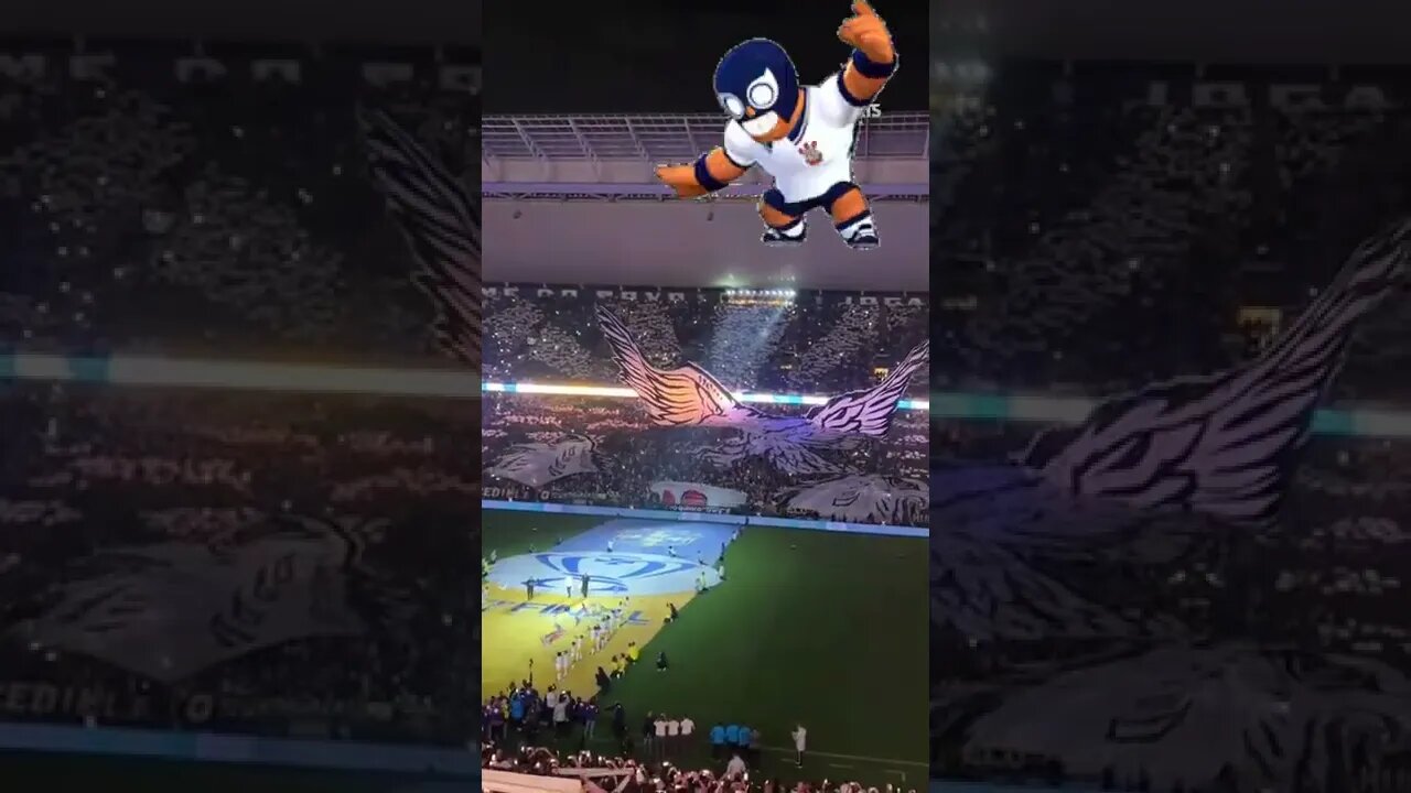 MOSAICO 3D DA TORCIDA DO CORINTHIANS! Que festa fez a torcida do Timão no pré-jogo!