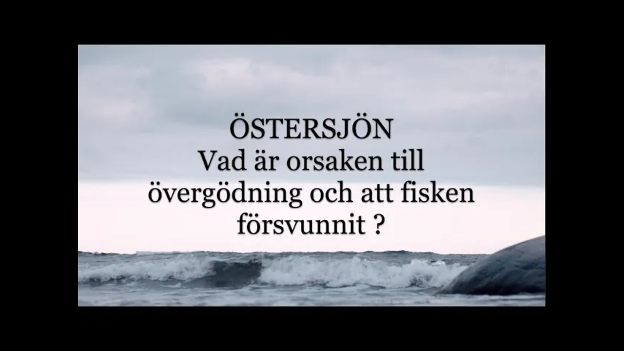 Östersjön, en film om varför den mår som den gör.