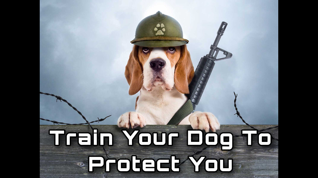 How To Train Your Dog To Protect You