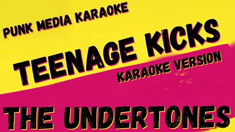 THE UNDERTONES ✴ TEENAGE KICKS ✴ KARAOKE INSTRUMENTAL ✴ PMK