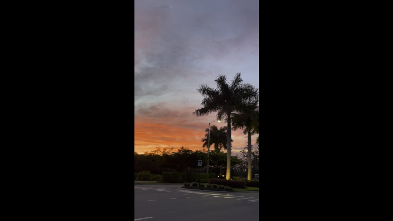 Sunset in Paradise Part 2 #4K (Vertical)