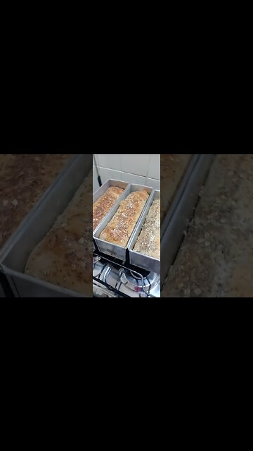 pão, bread, pizza, massas, bolo