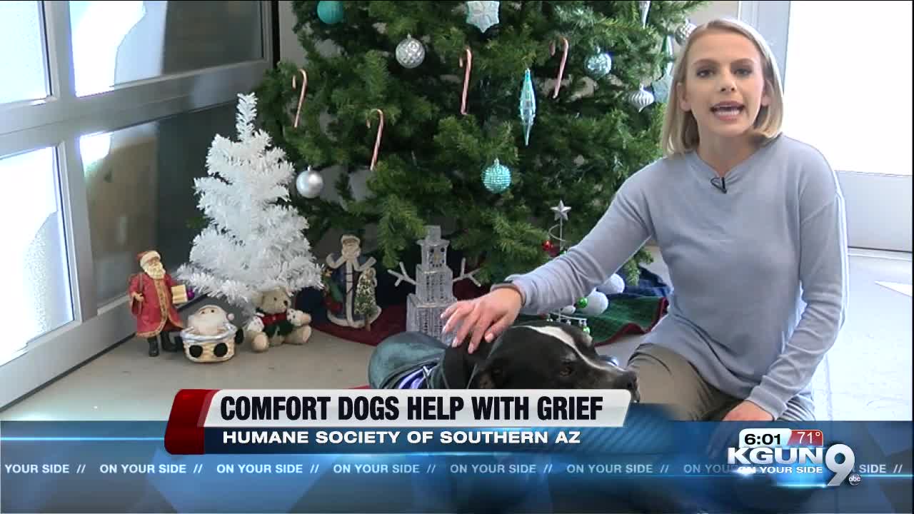 Comfort dogs are available during times of loss, trauma, grief