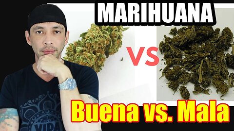 Mala Hierba vs Buena - Que no te estafen.