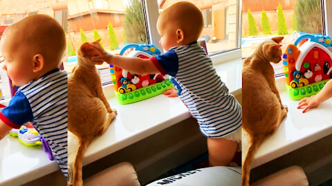 A sweet baby with his toys and a cat