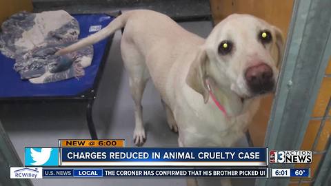 Felony charges reduced in animal cruelty case