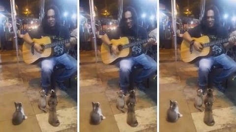 The Cat Whisperer really exists!