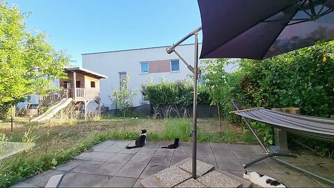 Highlight 2:51:47 – 2:56:47 von Silent Long LIVE for wh update in the garden @TravelGeorge #ghit