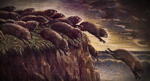 HIGHLIGHTS - Leftist Lemmings At The World's End