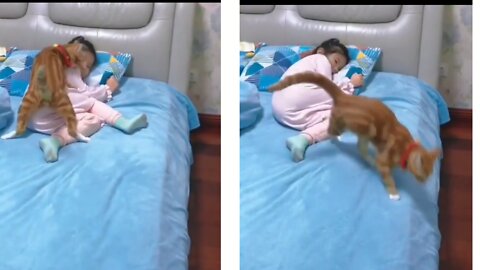 Cat playing with my daughter in the bed