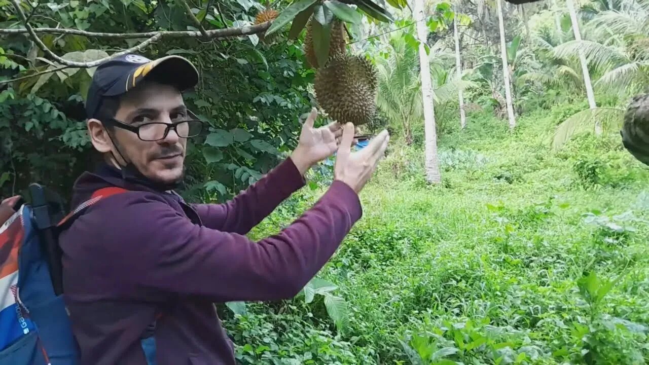 We find a Disco🕺 Hiking the Mountain,Durian Tree,a Big Pool and we see the Legendary Rock in Phil