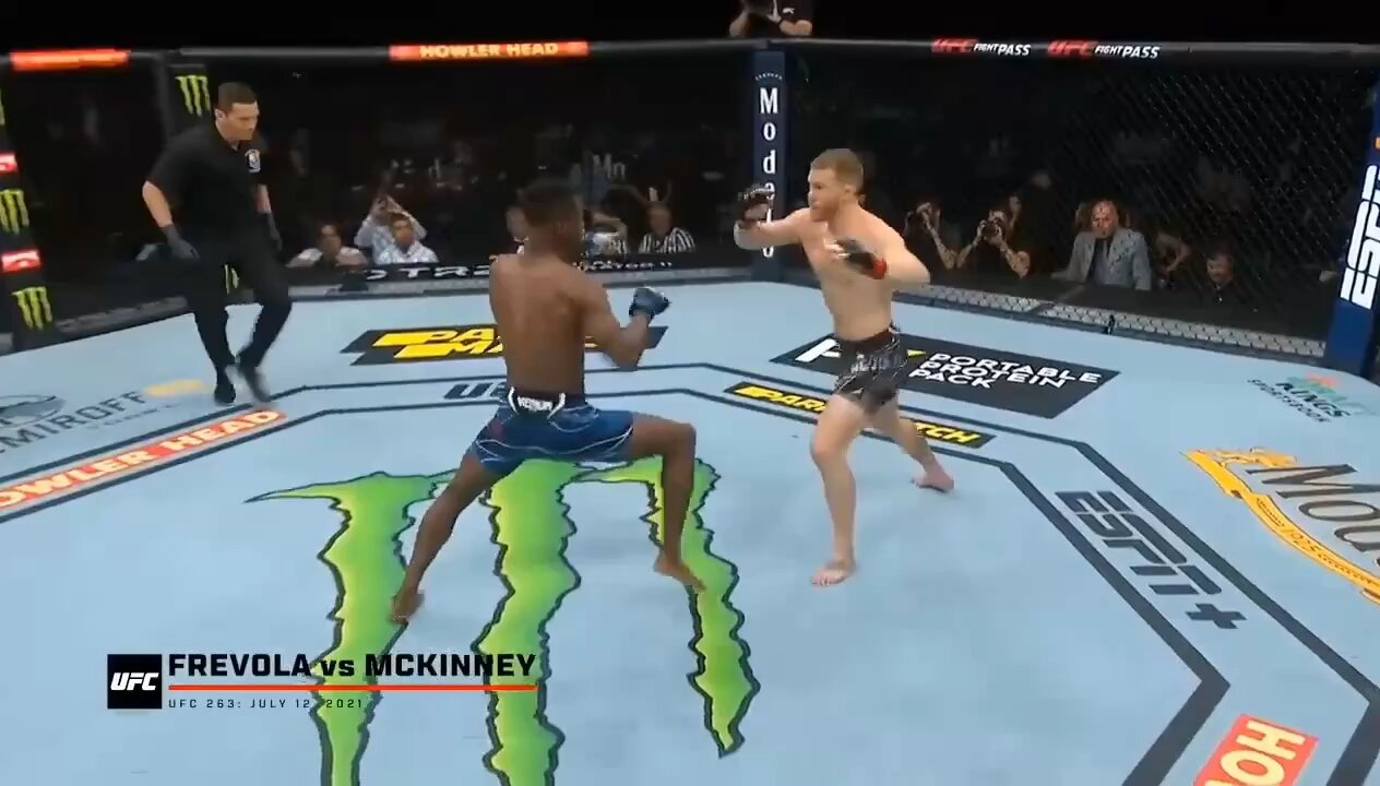 The brutal knockout in UFC