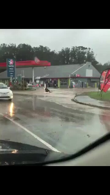 #DurbanStorm leaves deadly aftermath (bUs)