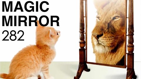 Magic Mirror 282 - Deep Fakery or Live Action?