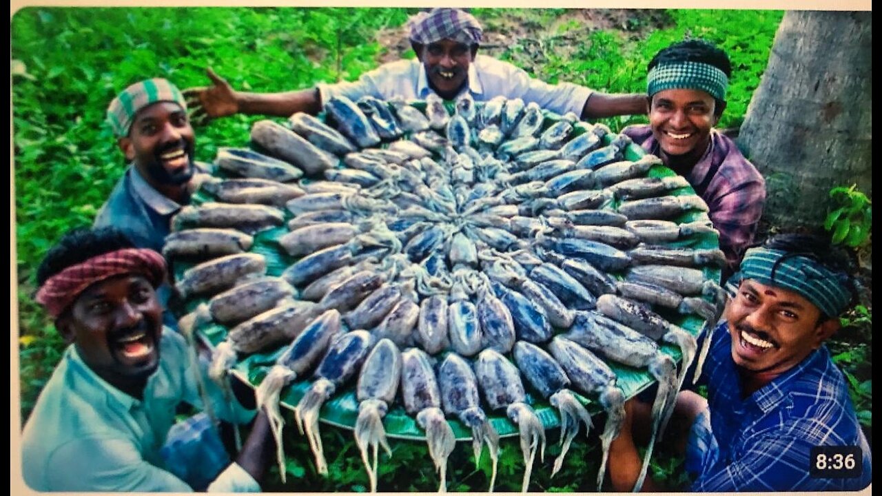 SQUID FISH FRY | Delicious Seafood Recipe Cooking and Eating in Village | Tawa Fried Calamari Recipe