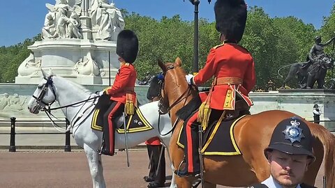 Sword salute from the kings guard as God save the king is played #thekingsguard