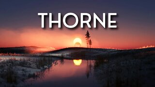 Thorne - Wings #House Music [#FreeRoyaltyBackgroundMusic]