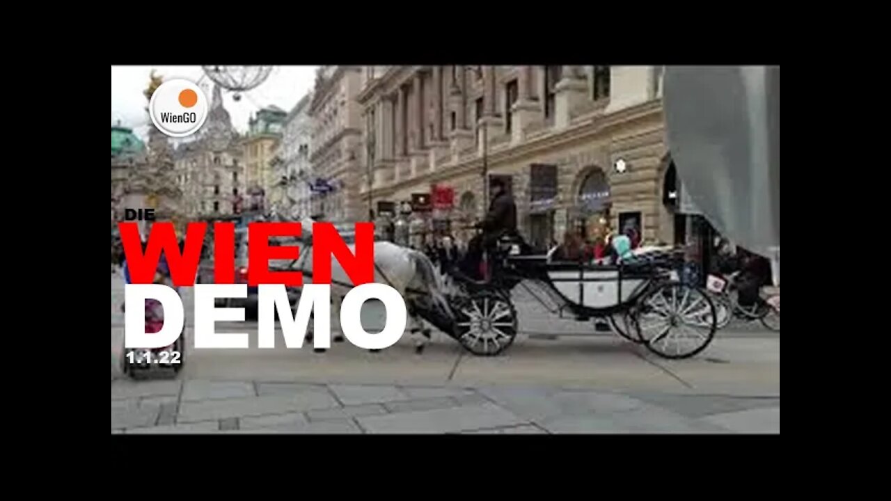 WienGO WIEN DEMO 1.1.22 (6) +++ GAME CHANGER 22 +++FRIEDE+++FREIHEIT+++ KEINE DIKTATUR+++WÜRDE+++