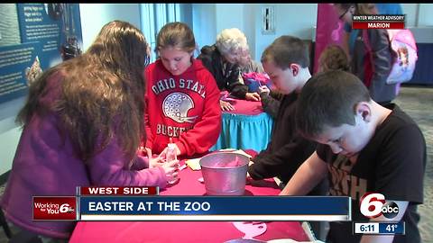 Hidden eggs at the Indianapolis Zoo