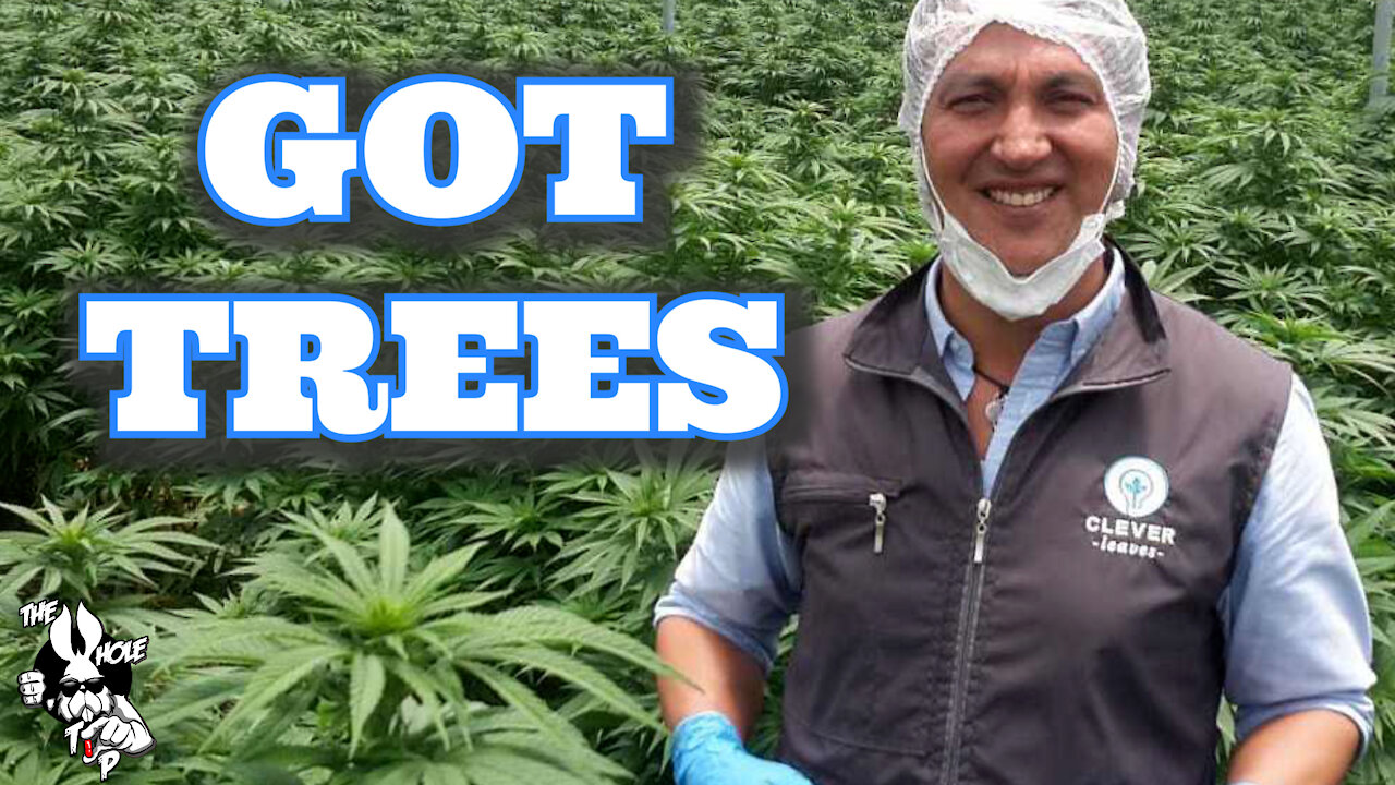GOT TREES - the Whole Tip Daily